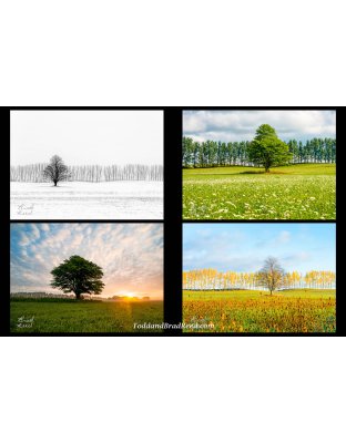 Kinney Road Seasons Quad 10 x 15-inch print