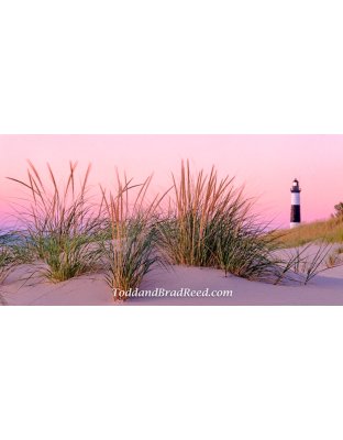 30 x 60 Dune Grass