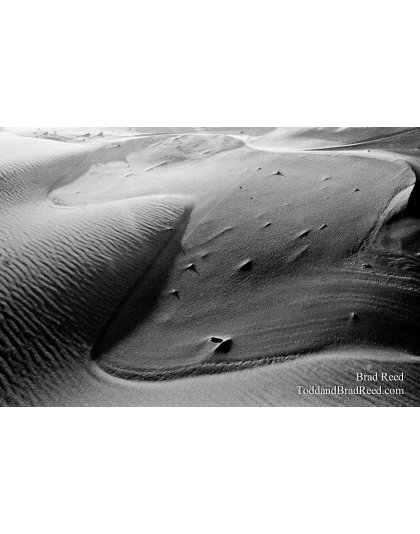 Whispering Sands