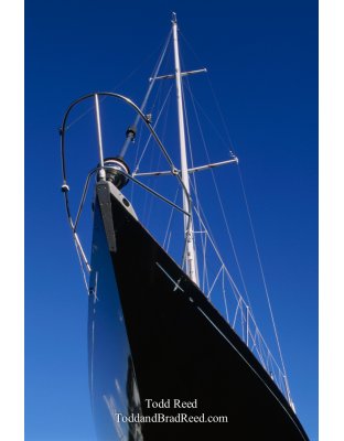 Black Beauty