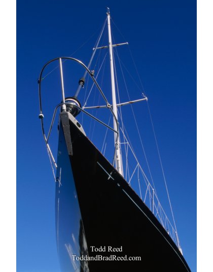 Black Beauty