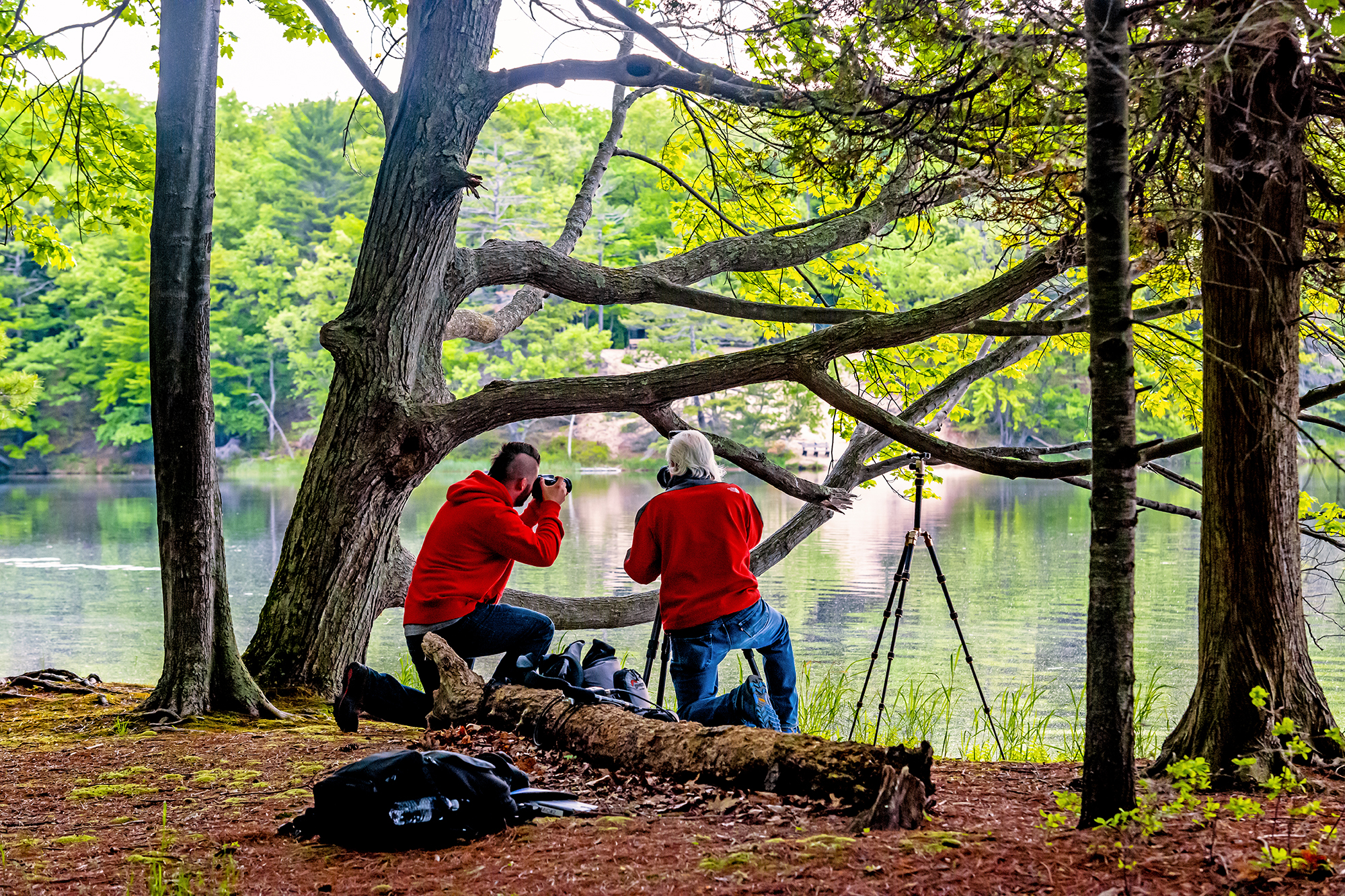 Advanced Weekend Workshop